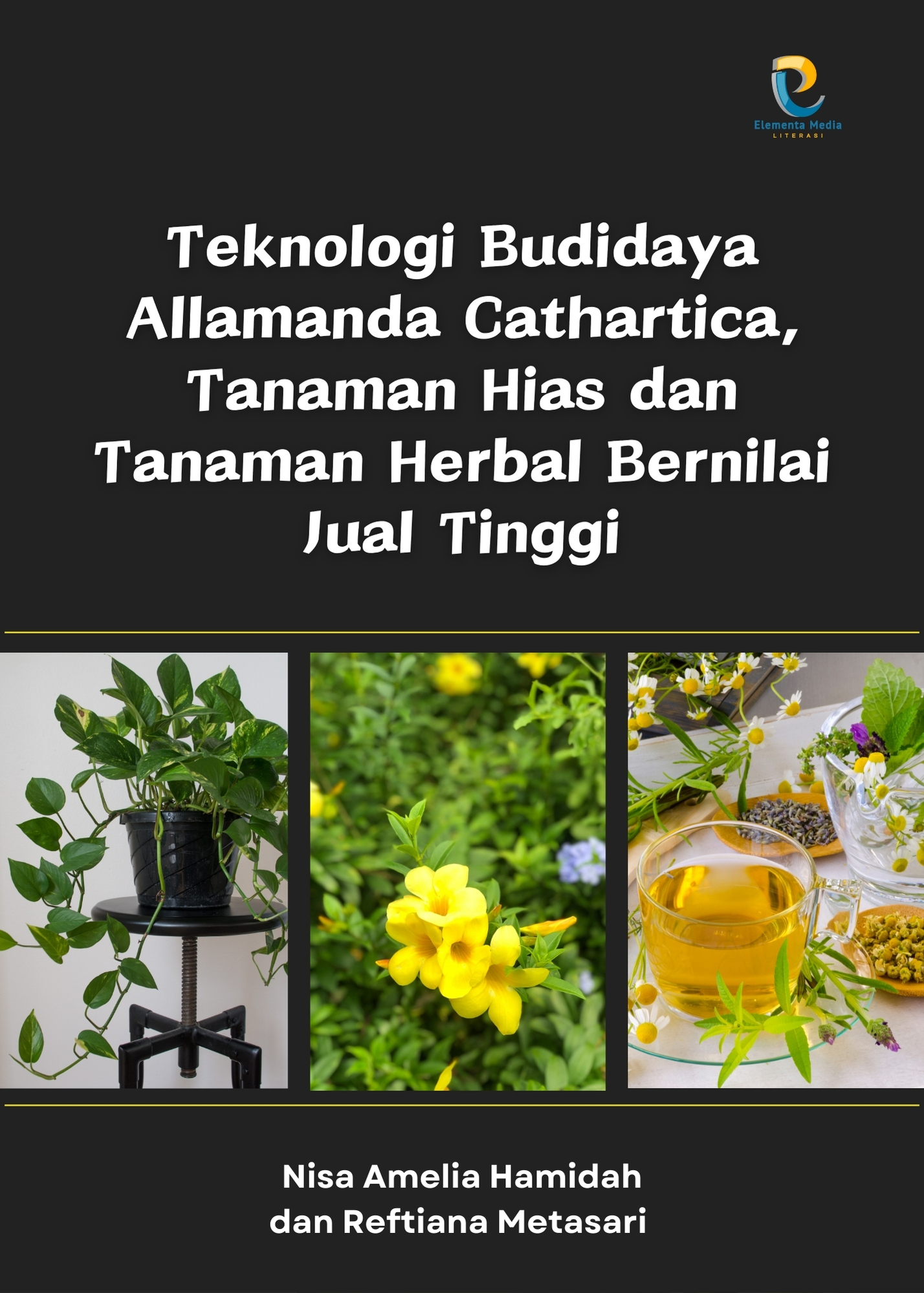 Teknologi Budidaya Allamanda Cathartica, Tanaman Hias dan Tanaman Herbal Bernilai Jual Tinggi